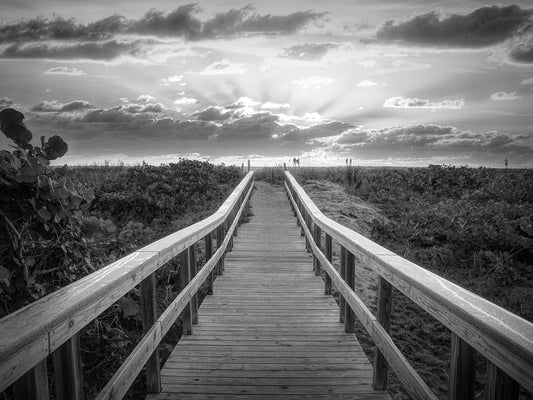Wooden Boardwalk through the Dunes Black and White