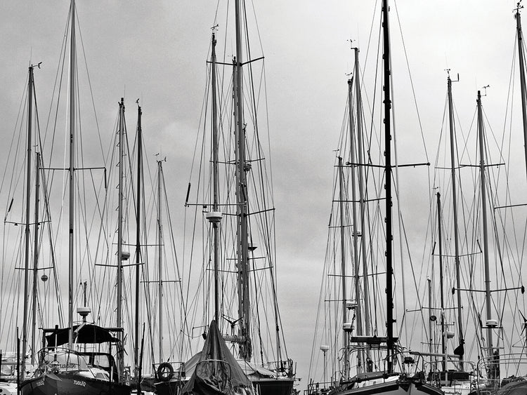 Marina Sailboat Masts