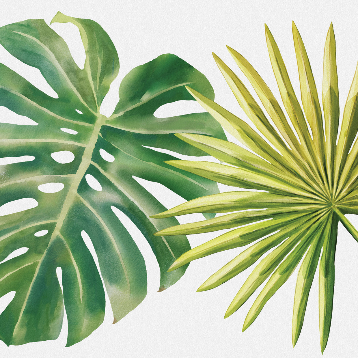 Monstera and Fan Palm Leaf
