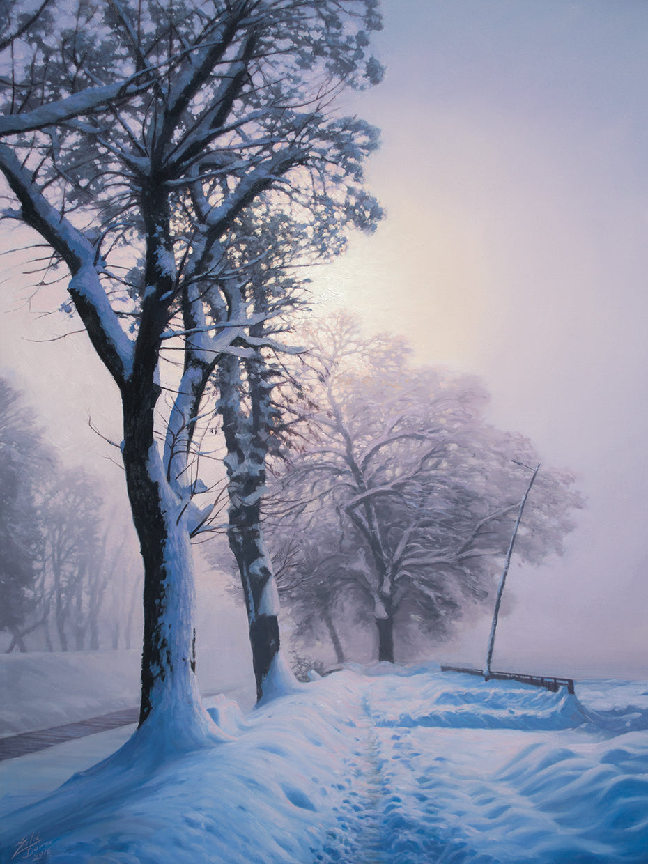 Winter Walk