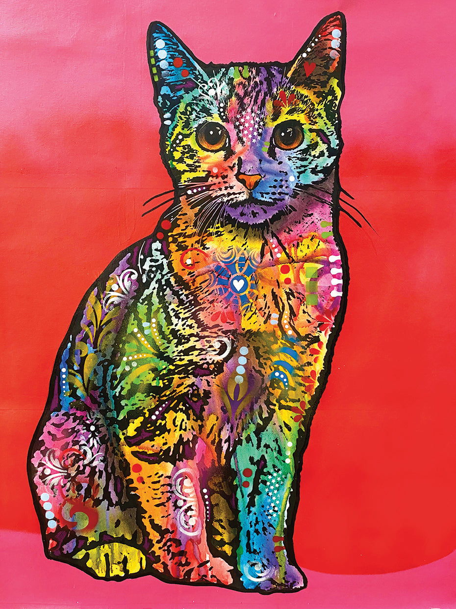 Loving Cat