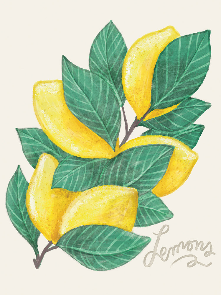 Lemon Branch