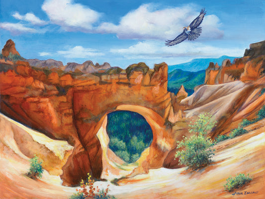 Hawk Over Bryce Canyon Canvas Print