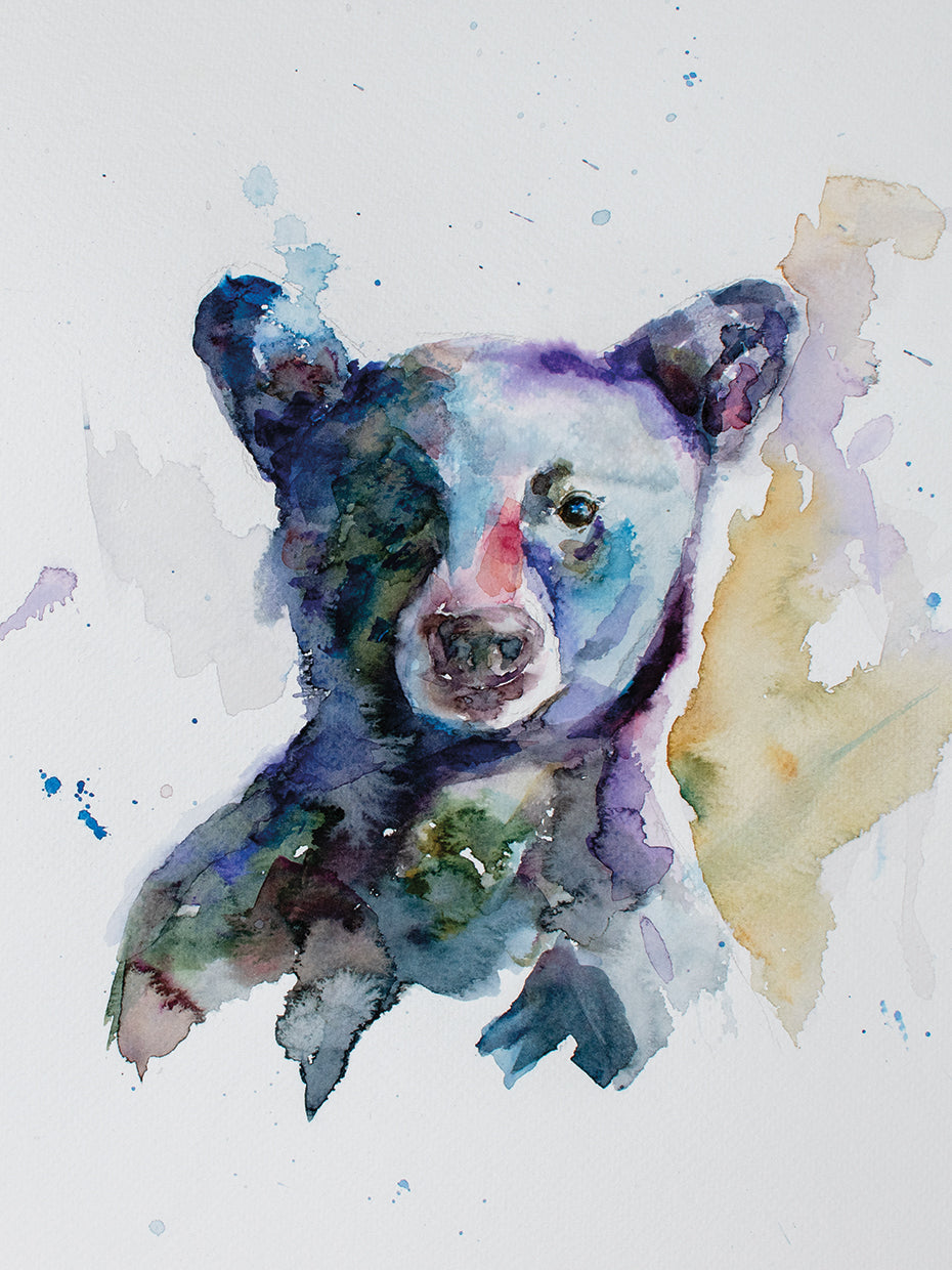 Black Bear