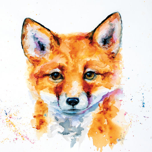 Nursery Fox