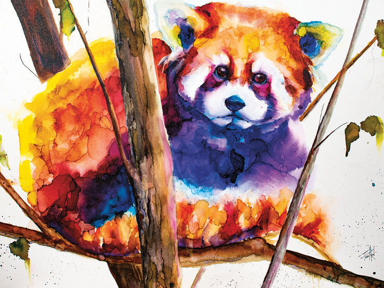 Things Are Not Always Black And White