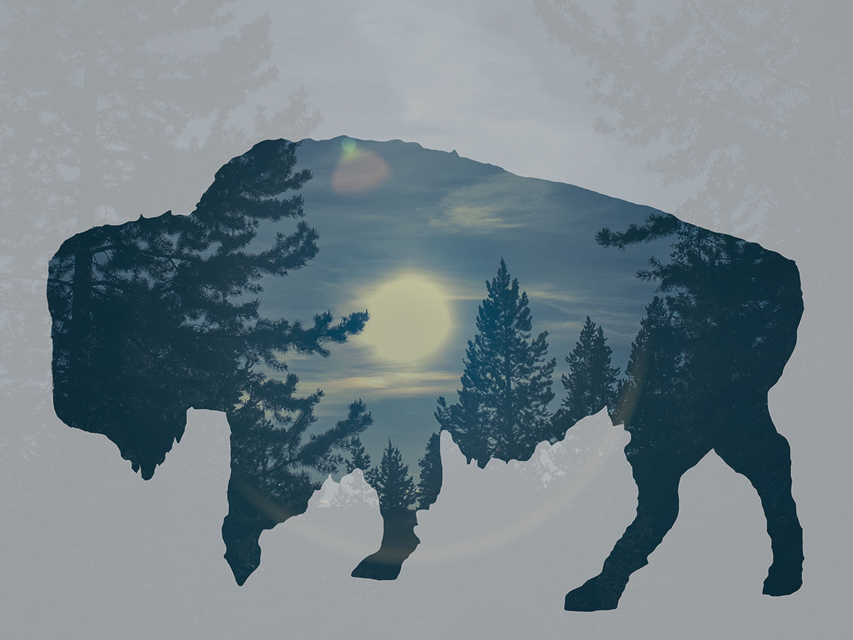 Buffalo Silhouette