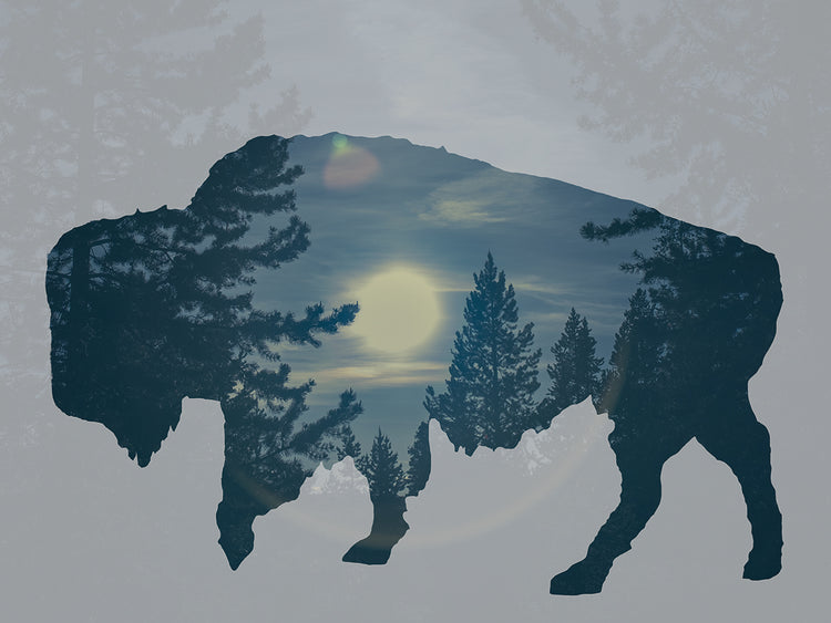 Buffalo Silhouette