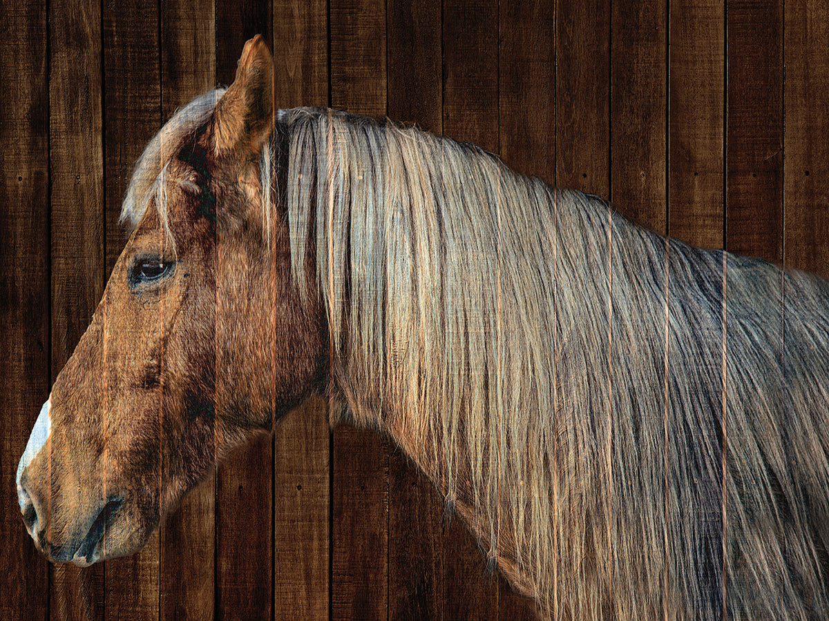 Golden Brown Horse