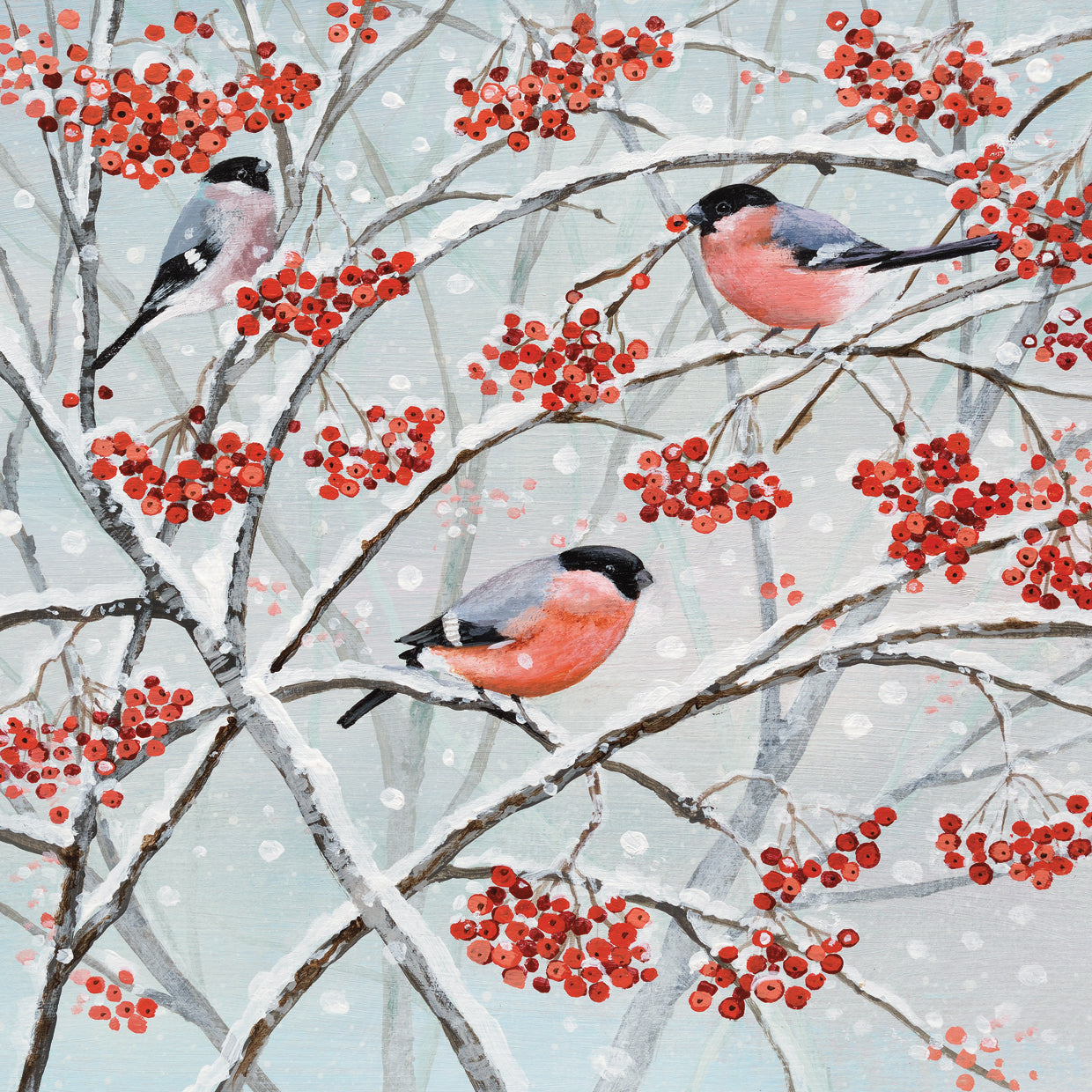 Bullfinches and Berries