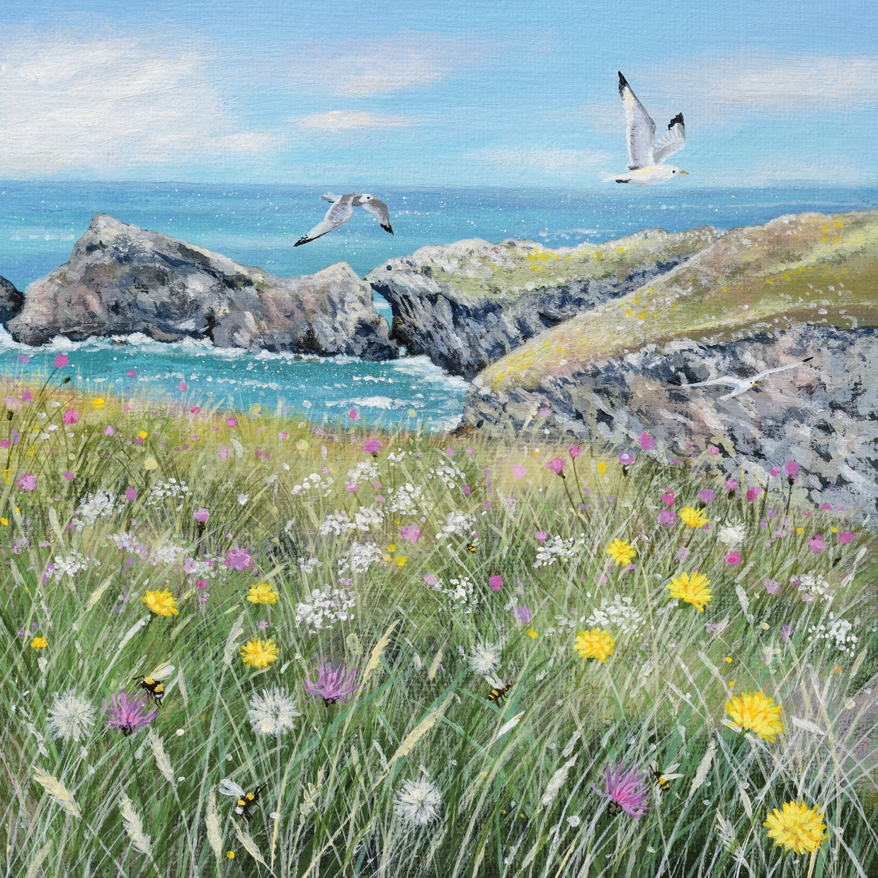 Cliff Top Wildflowers