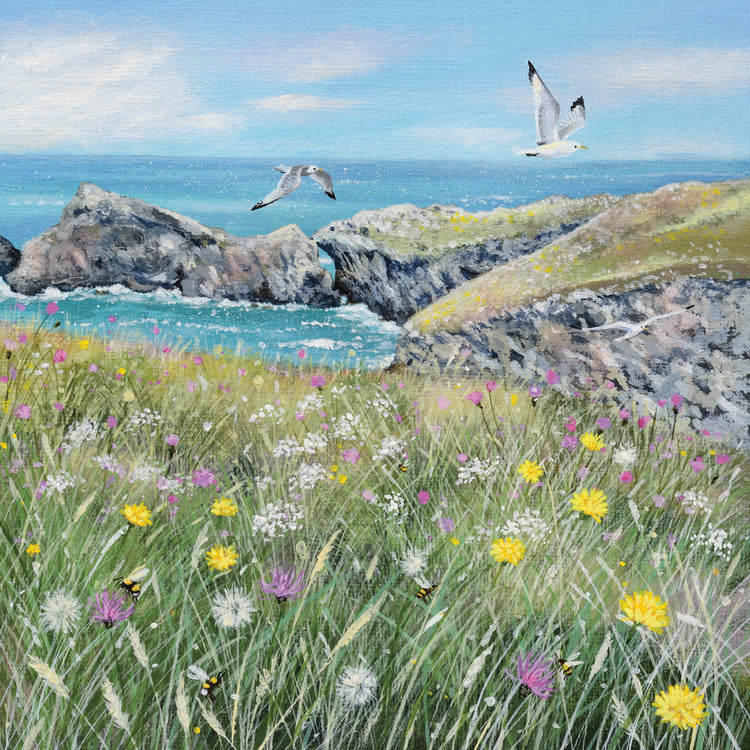 Cliff Top Wildflowers