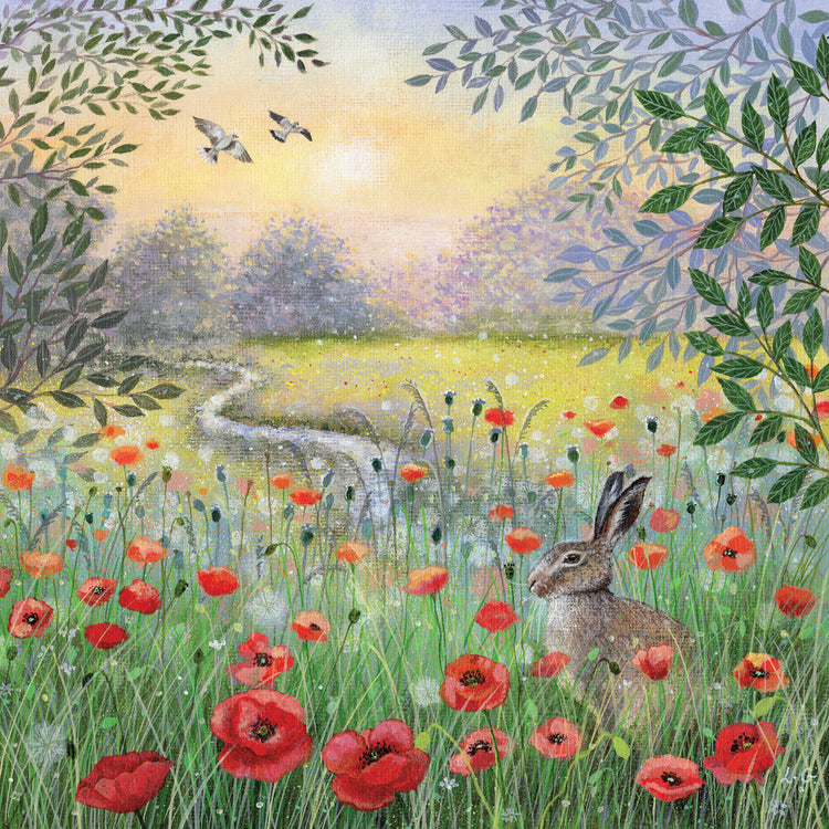 Liebre y amapolas Lienzo