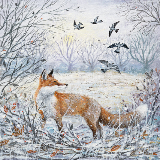 Red Fox and Pigeons