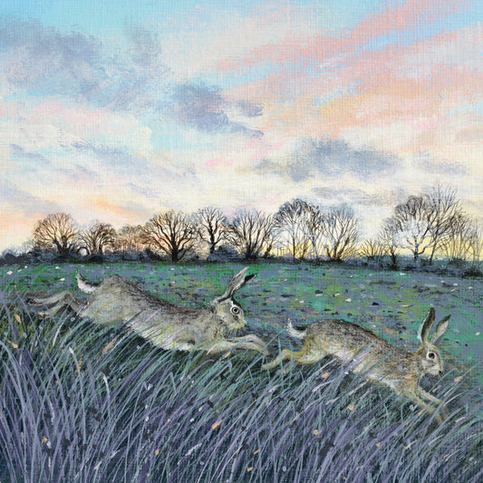 Two Winter Hares