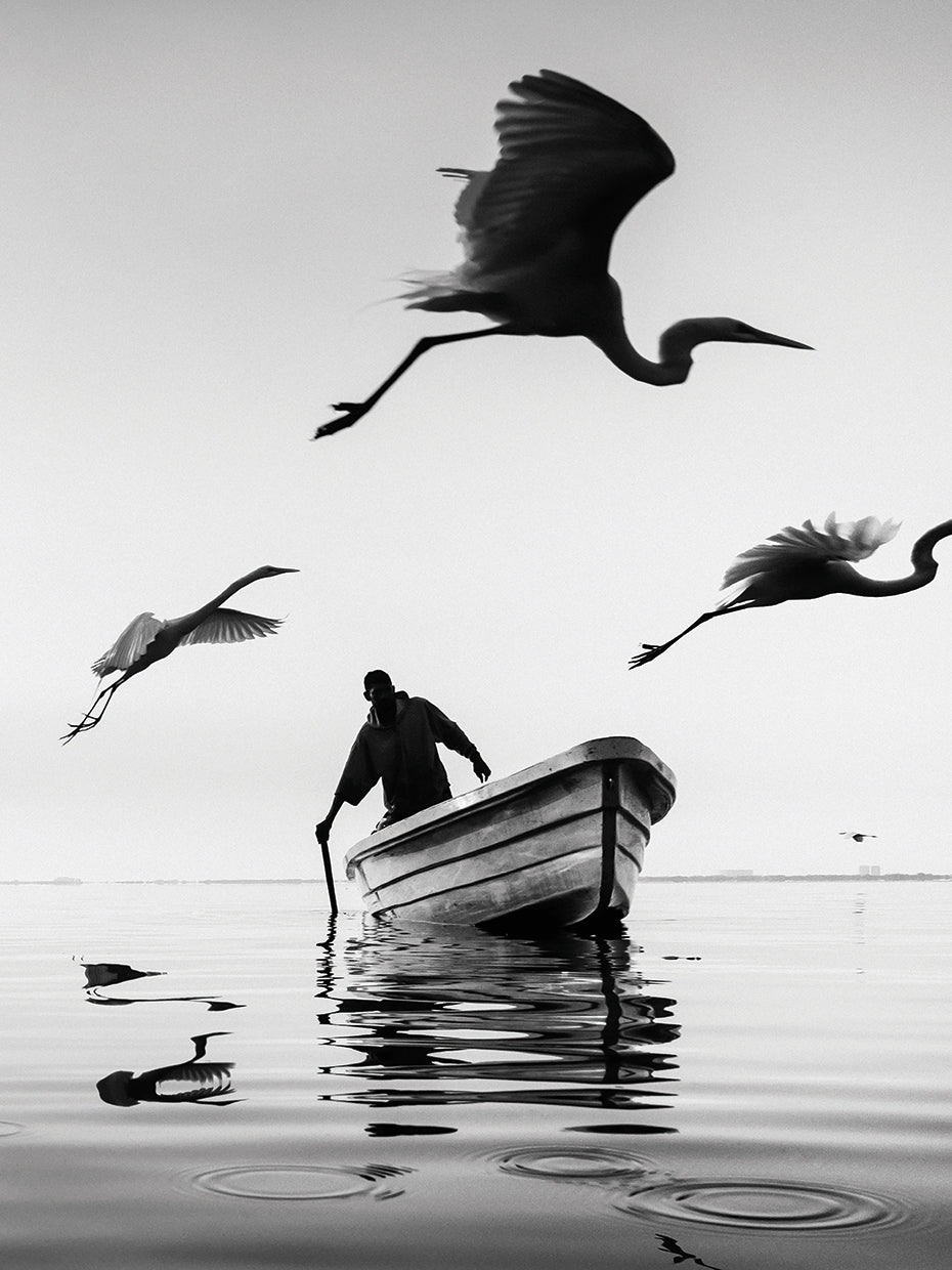 3_Herons