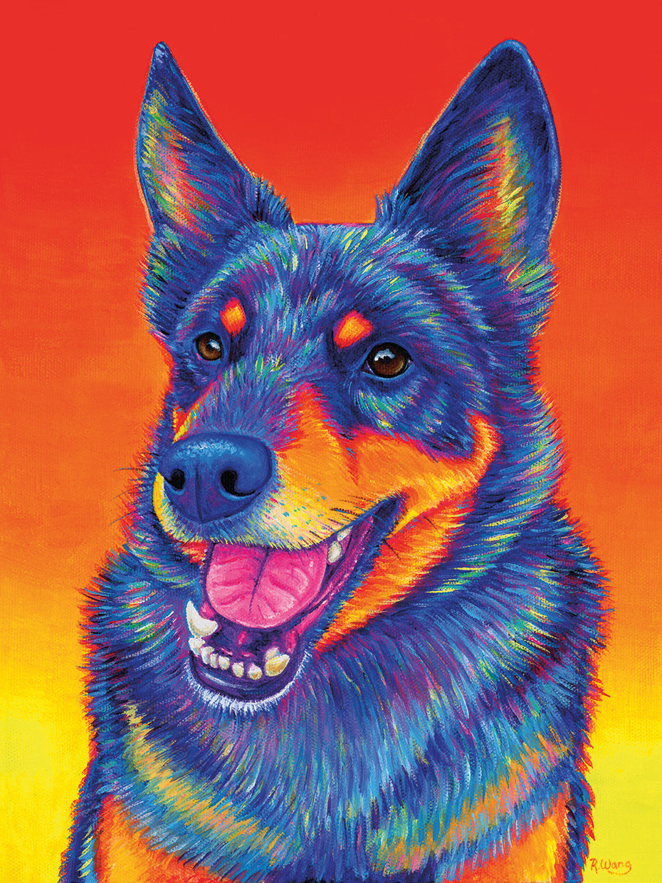 Blue Heeler