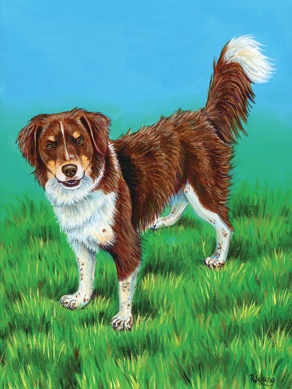 Brown and White Dog