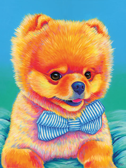 Cute Pomeranian with Bow Tie Canvas Print