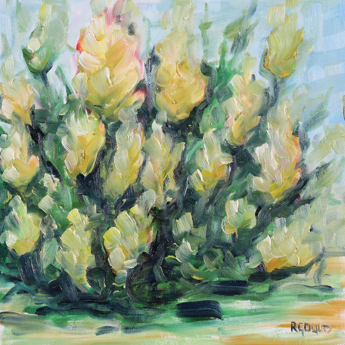 Blooming