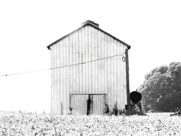 Tin Barn