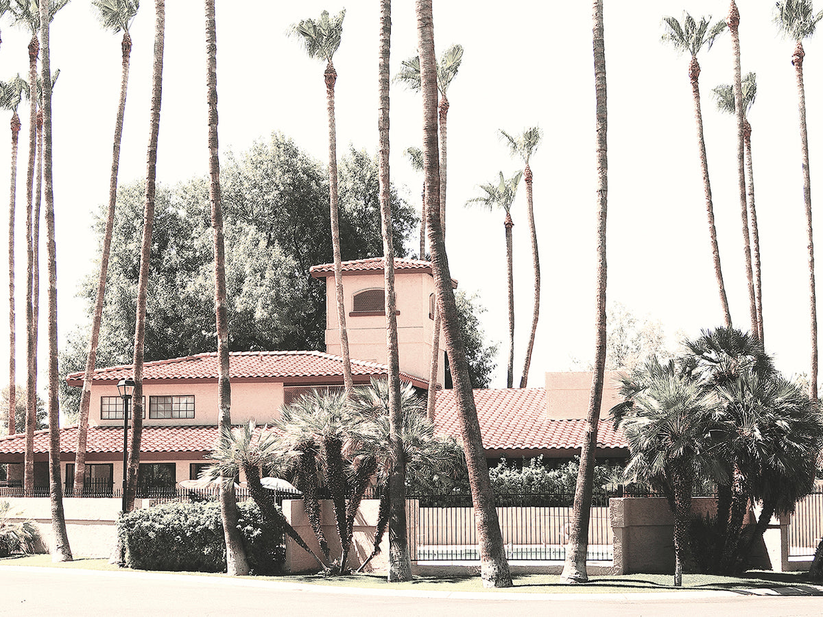 Scottsdale Palms