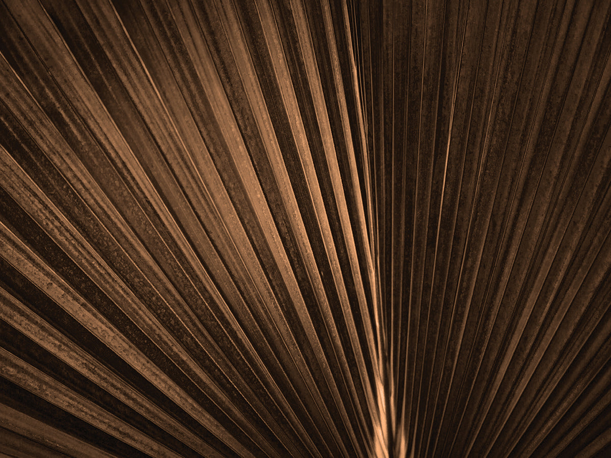 Infrared Panel 12