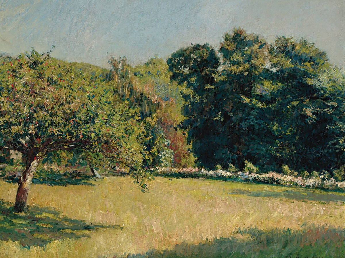 Un Jardin À Trouville (1882)