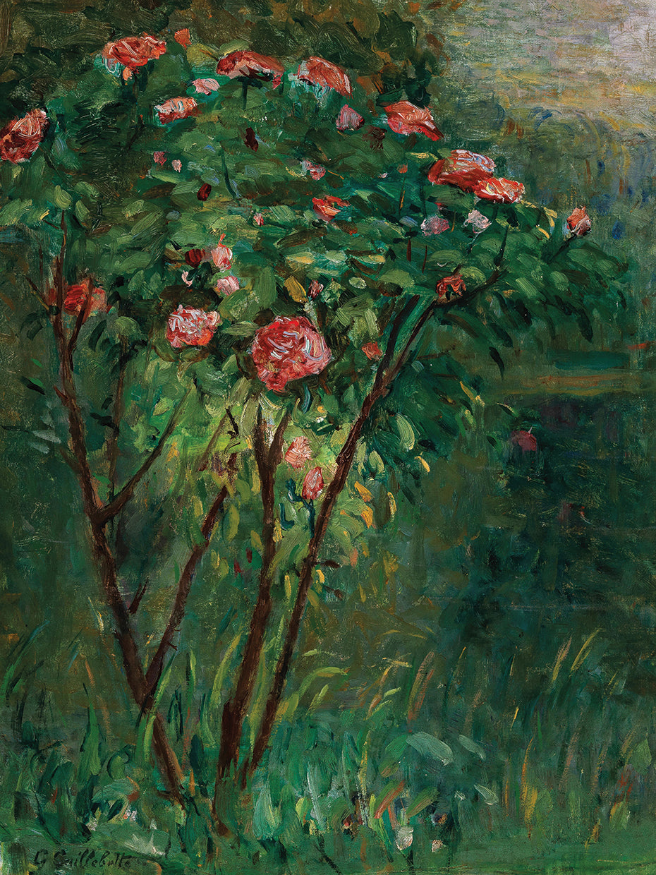 Le rosier fleuri (c. 1884–1885)