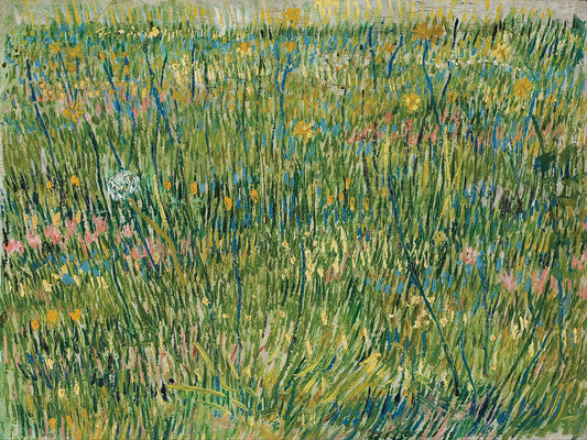 Patch of grass (1887) Canvas Print