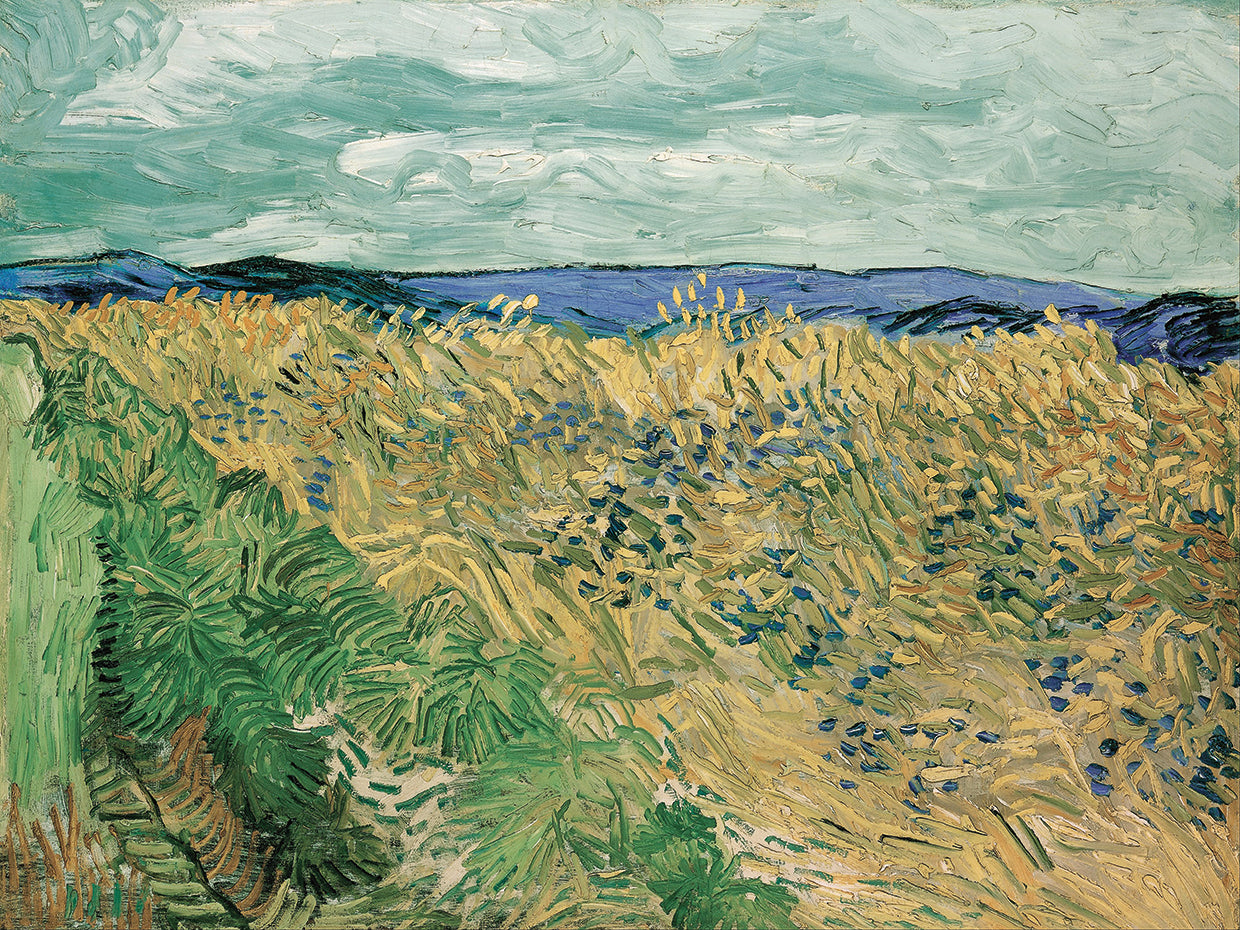 Wheatfield With Cornflowers (1890)