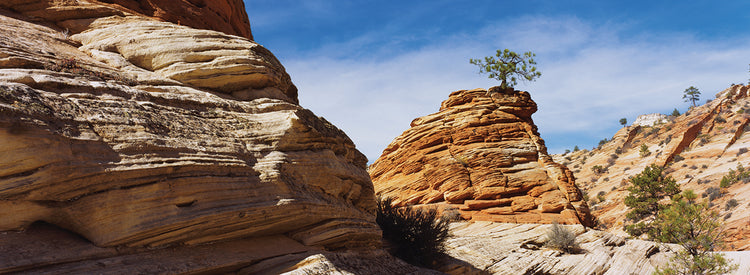 Rock formations on a landscape, Zion National Park, Utah, USA