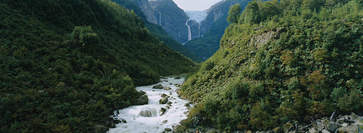 Vista de ángulo alto de un río que fluye a través de un valle, Glaciar Colgante, Parque Nacional Queulat, Patagonia, Chile Lienzo