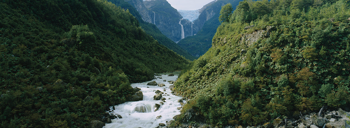 High angle view of a river flowing through a valley, Hanging Glacier, Queulat National Park, Patagonia, Chile