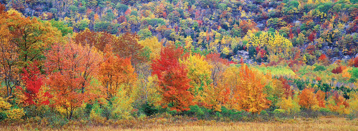 Acadia National Park ME