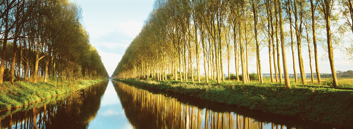 Belgium, tree lined waterway through countryside 2