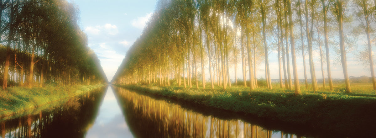 Belgium, tree lined waterway through countryside3