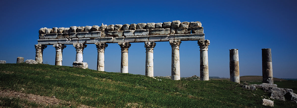 Columns on a landscape, Apamea, Syria