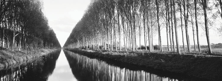 Bélgica, vía fluvial arbolada a través del campo Lienzo