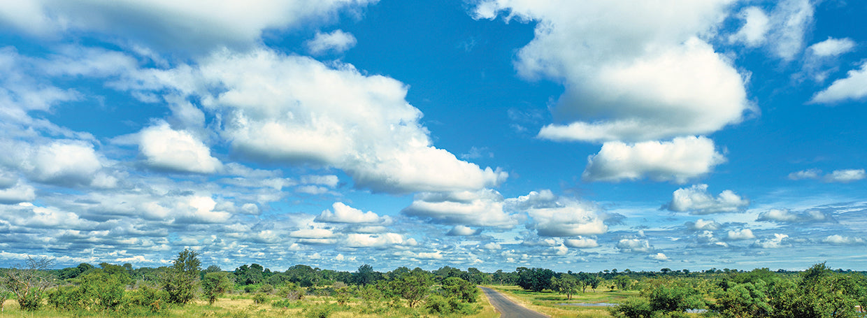 Nubes sobre el paisaje, Parque Nacional Kruger, Sudáfrica Lienzo