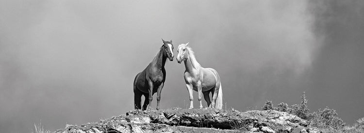 Dos caballos parados en el borde del acantilado, Wyoming, EE. UU. 2 Lienzo