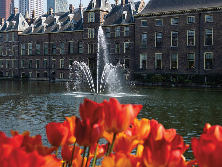 Tulips and fountain in Hofvijver pond, The Hague, South Holland, Netherlands