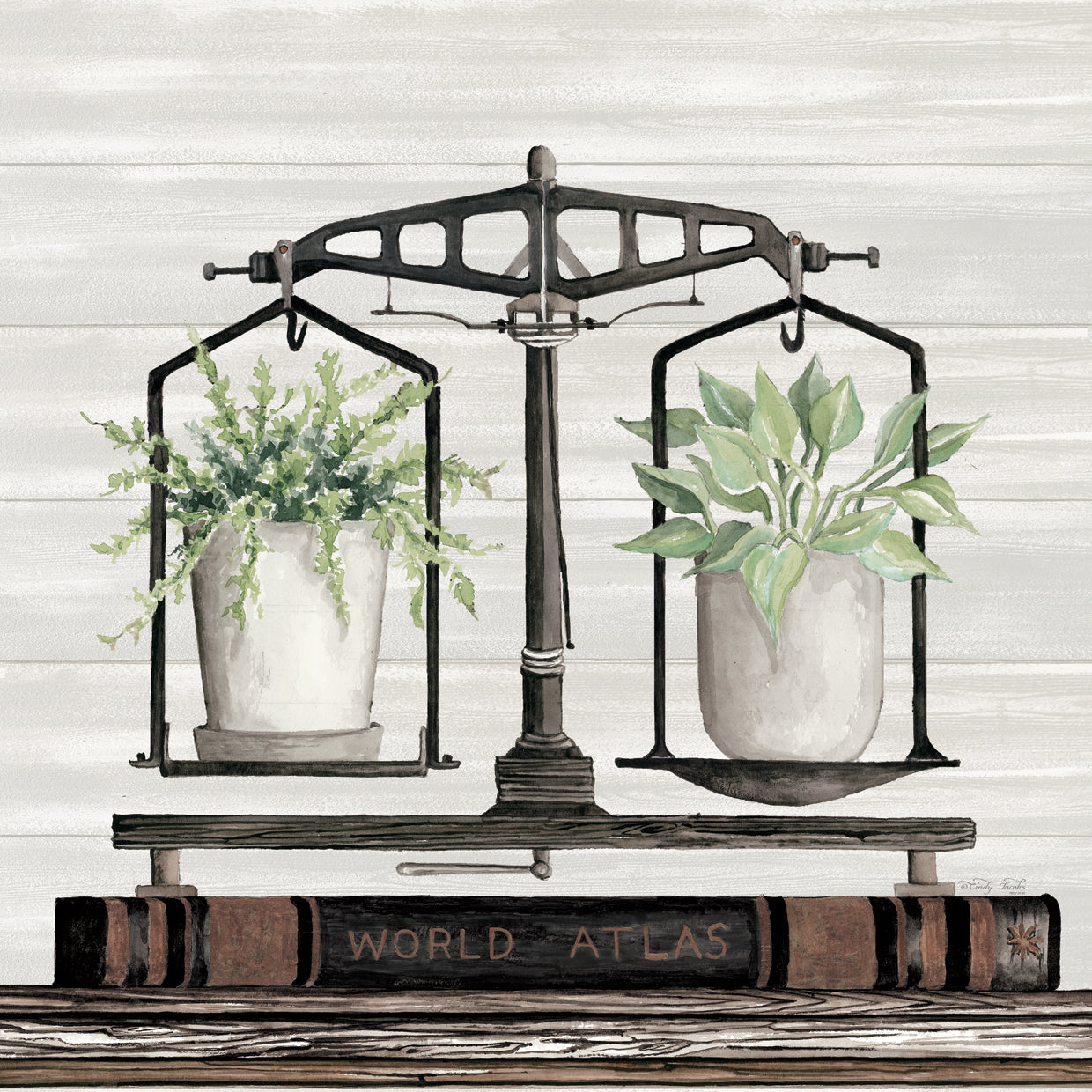 Vida vegetal equilibrada Lienzo