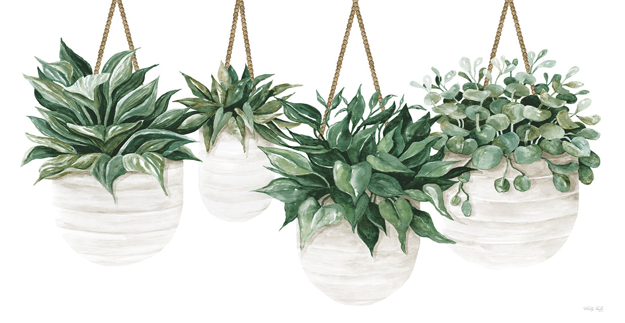 Hanging Plants