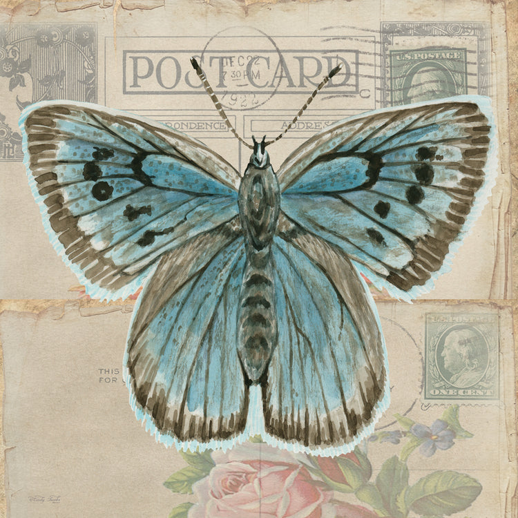 Postal Mariposa I Lienzo