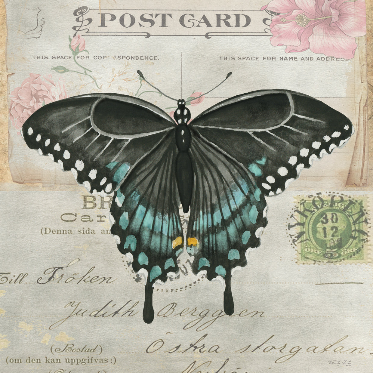 Postcard Butterfly III