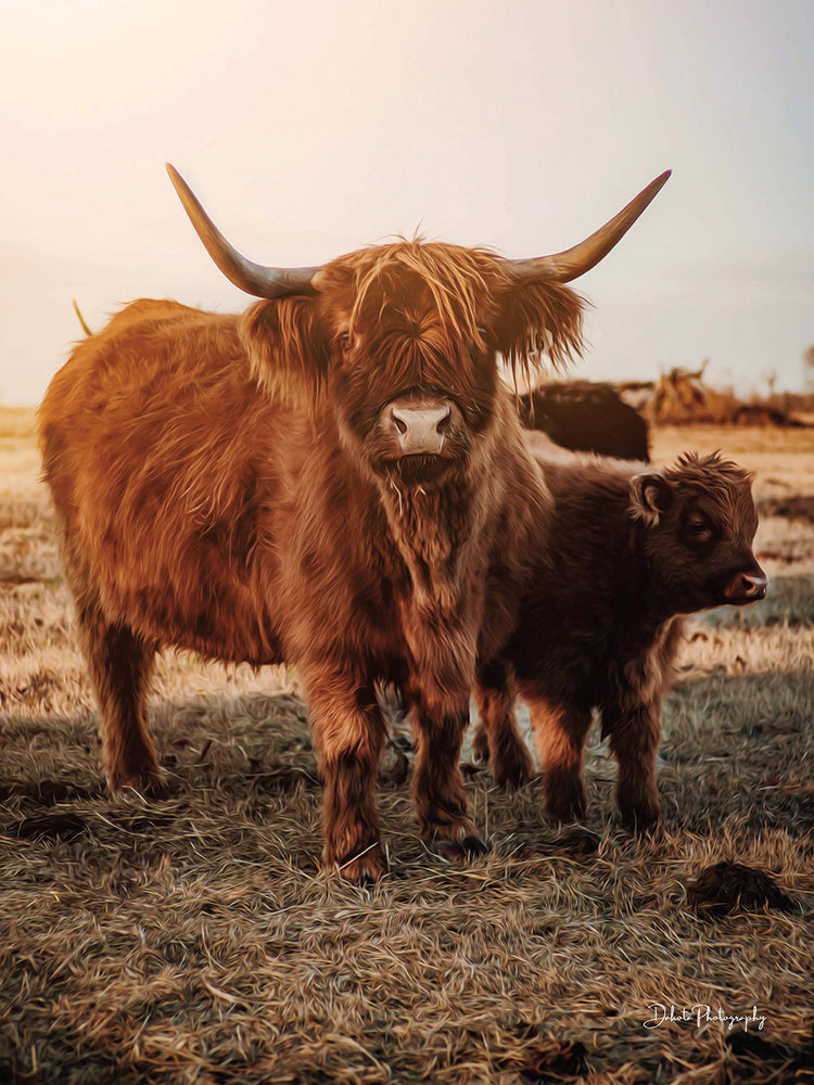 Highland Mom and Daughter I