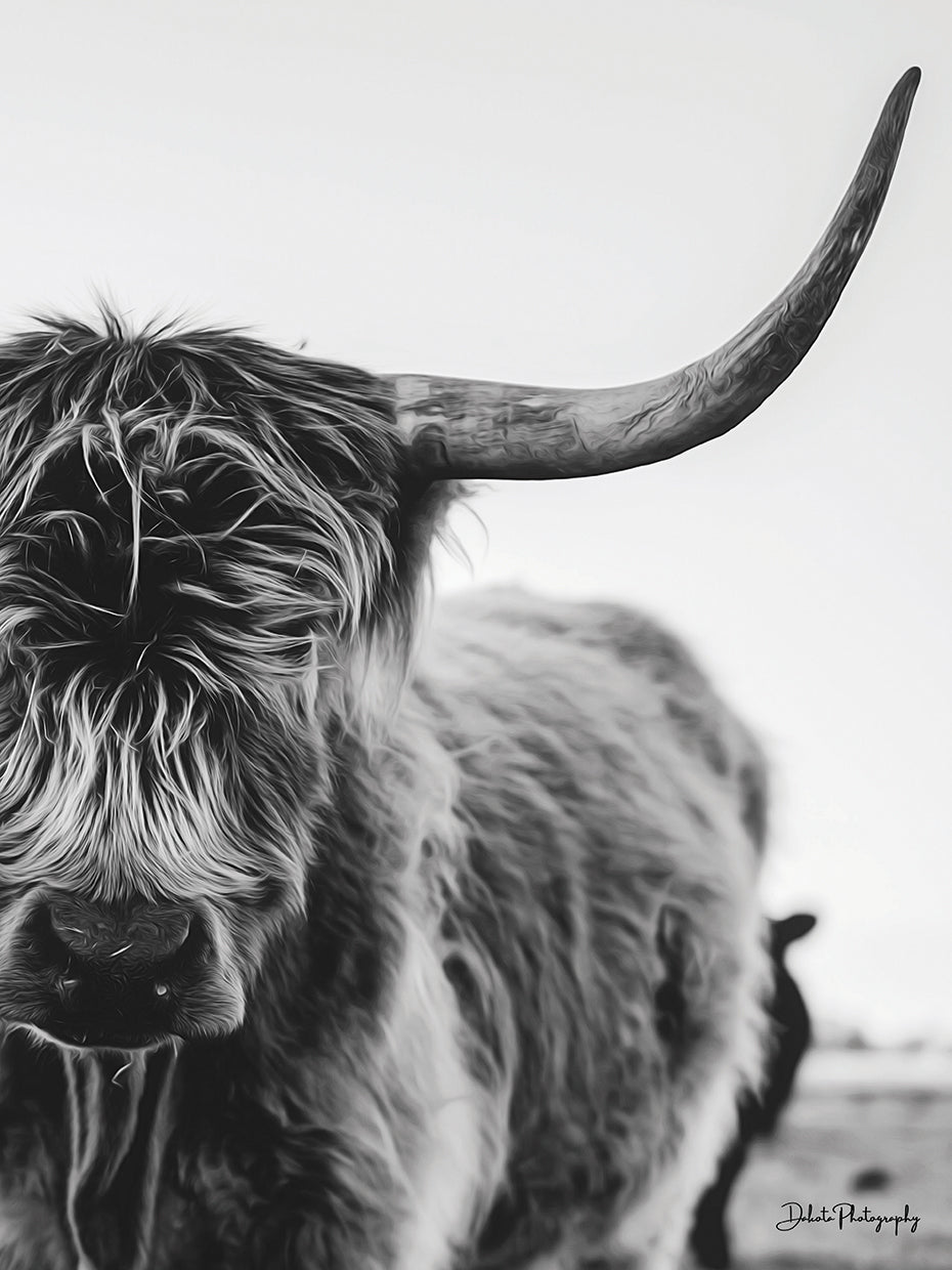 The Cow