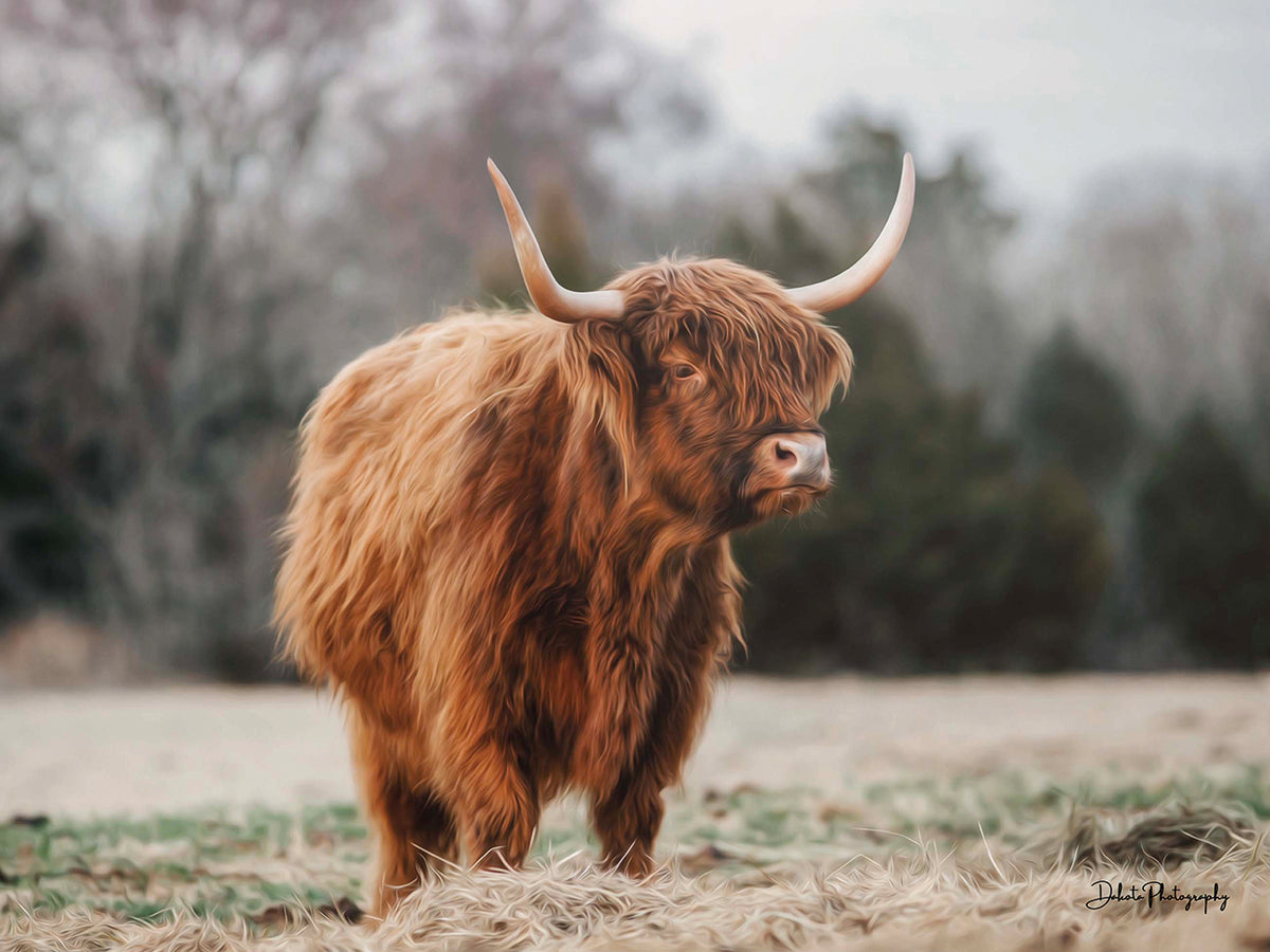 Mom Cow