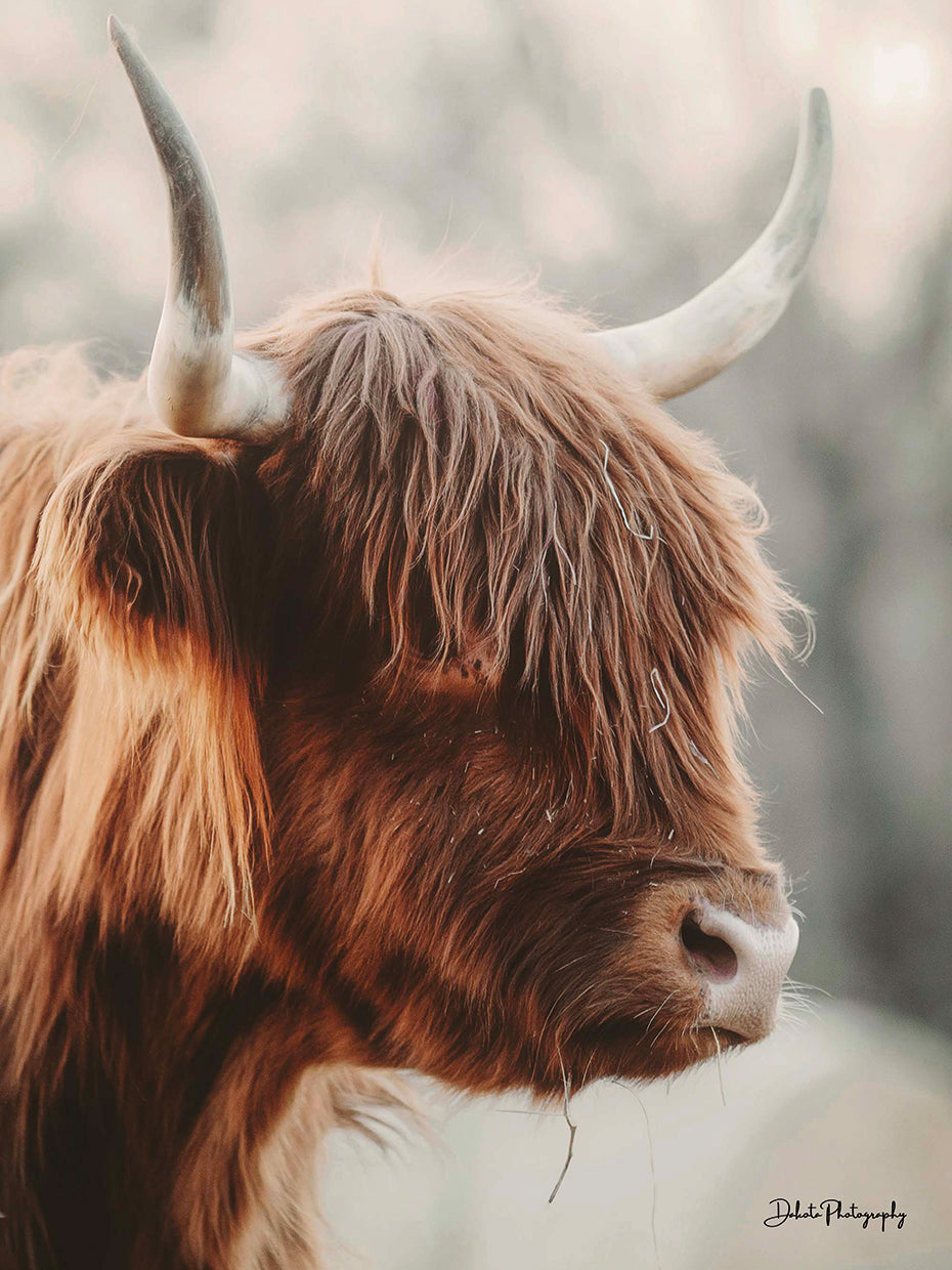 Highland Pose